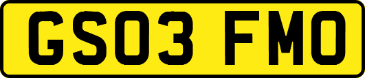 GS03FMO