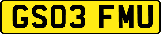 GS03FMU