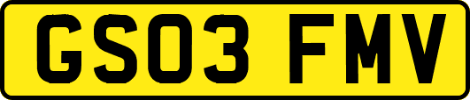GS03FMV