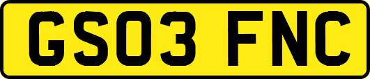 GS03FNC