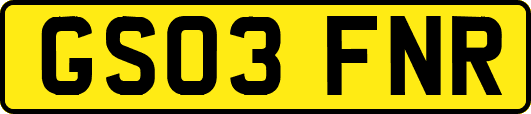 GS03FNR