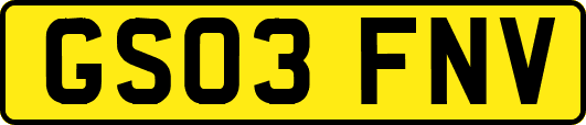 GS03FNV