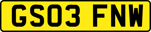 GS03FNW