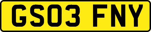 GS03FNY