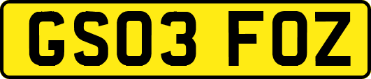 GS03FOZ