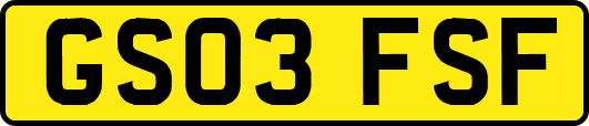 GS03FSF