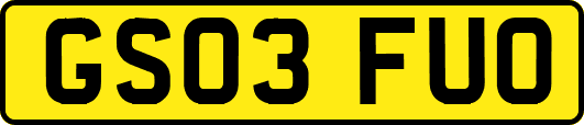 GS03FUO