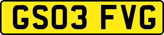 GS03FVG