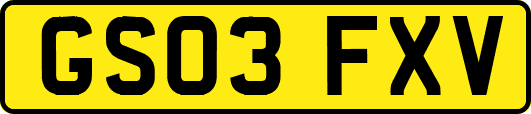GS03FXV
