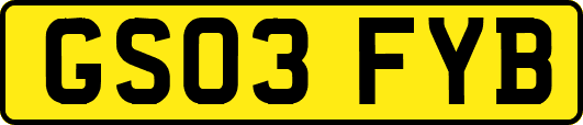 GS03FYB