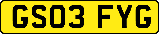 GS03FYG