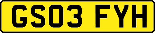 GS03FYH