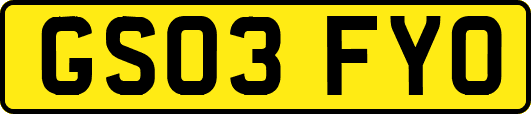 GS03FYO