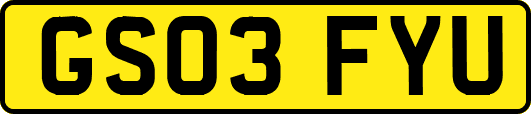 GS03FYU
