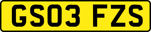 GS03FZS