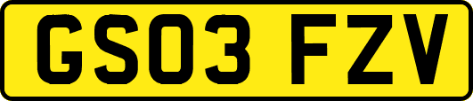 GS03FZV