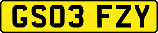 GS03FZY