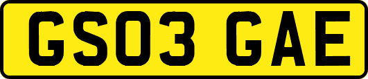 GS03GAE
