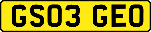 GS03GEO