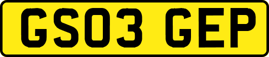 GS03GEP