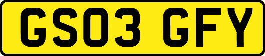 GS03GFY