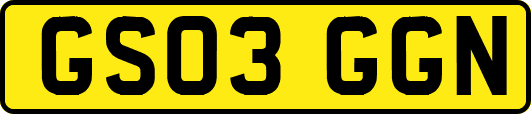 GS03GGN