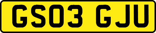 GS03GJU