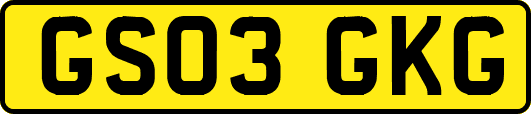GS03GKG