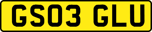 GS03GLU