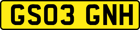GS03GNH