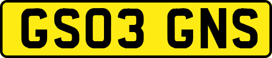 GS03GNS