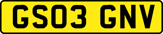 GS03GNV