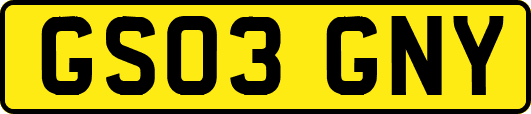 GS03GNY