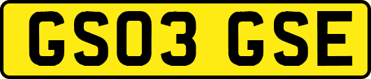 GS03GSE