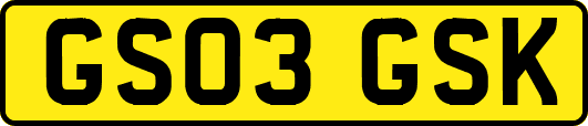 GS03GSK