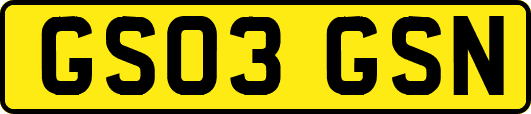 GS03GSN