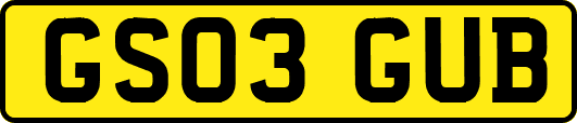 GS03GUB