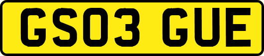GS03GUE
