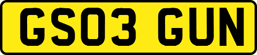GS03GUN