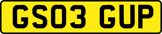 GS03GUP