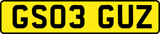 GS03GUZ