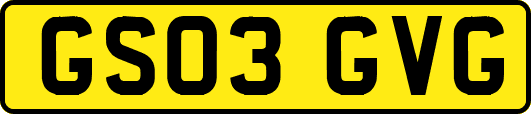 GS03GVG