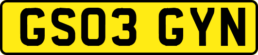 GS03GYN