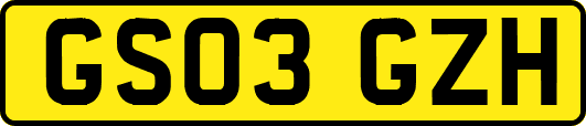 GS03GZH