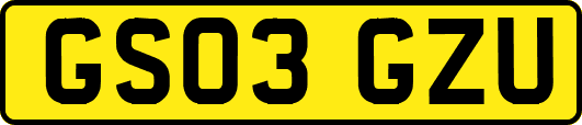 GS03GZU