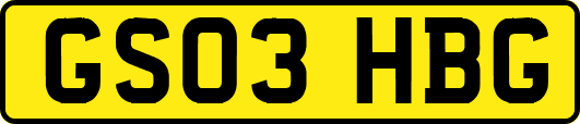 GS03HBG
