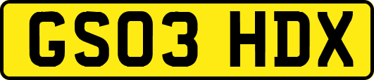 GS03HDX