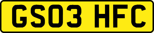 GS03HFC