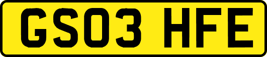 GS03HFE