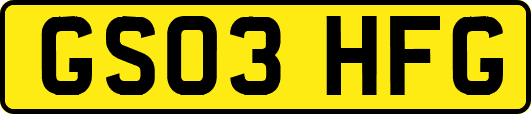 GS03HFG